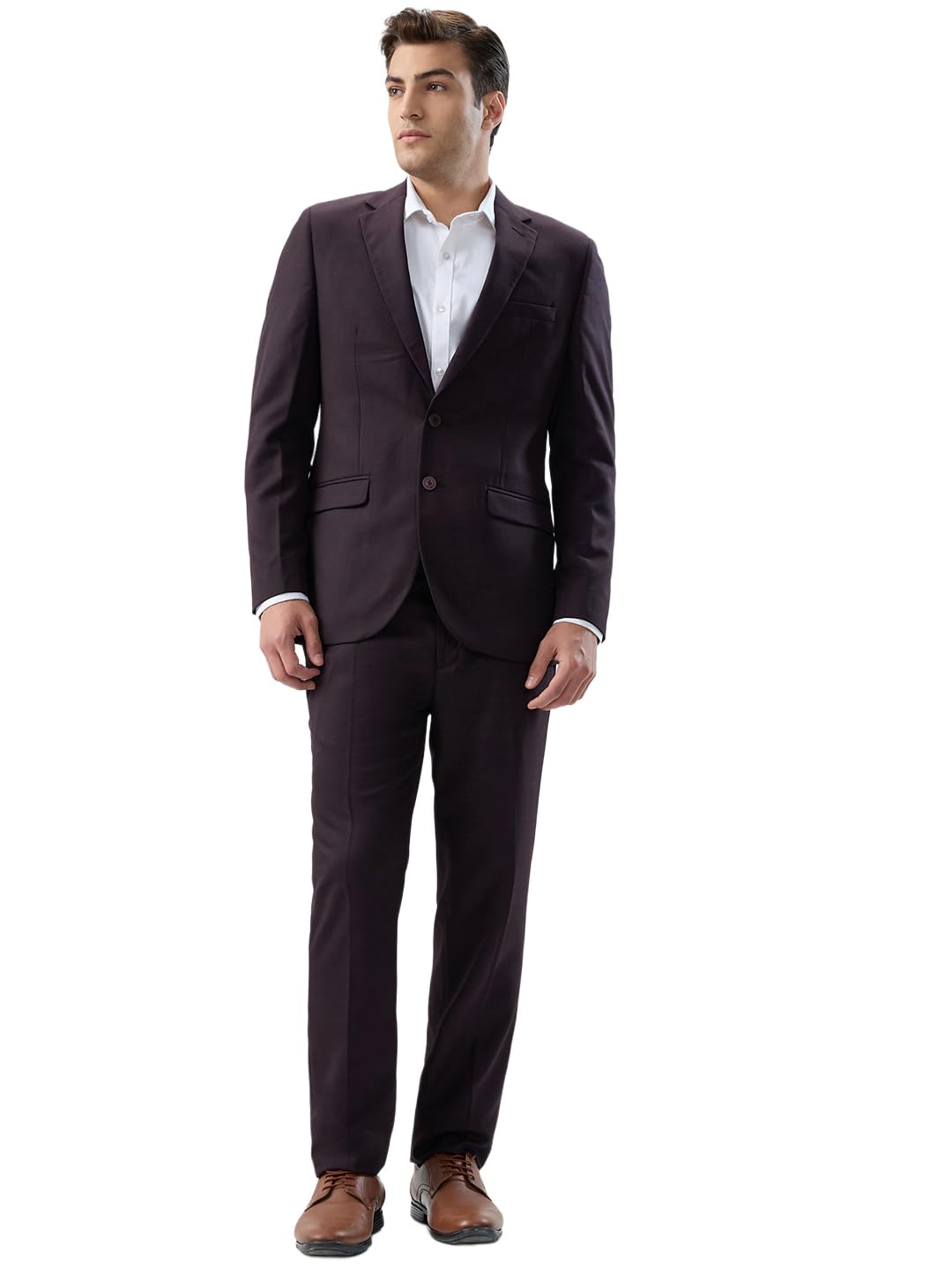 raymond Men Contemporary Fit Checks Pattern Polyester Blend Notch Lapel Full Sleeve Formal Suit-picture-37