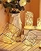 Litogo Guirnalda Luces Pilas, Luces LED Pilas, Luces LED Habitacion 5m 50...