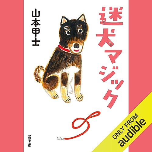 【帯付き】山本甲士 文庫本セット 10冊 ひかりの魔女 (双葉文庫) | 山本 甲士 |本 | 通販 | Amazon