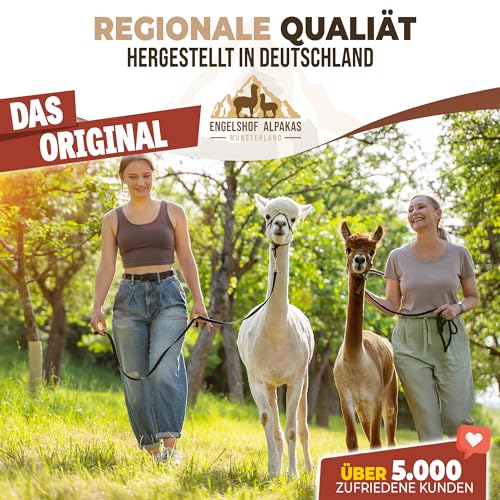 Alpaka Bettdecke von Engelshof Alpakas Münsterland im Vergleich