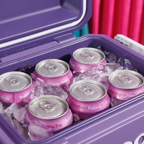Image of Igloo Tag Along Too Coolers | Insulated Hard Shell Picnic Style Cooler | Rolling Ice Chest