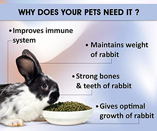 Boltz-Premium-Combo-of-Pellet-for-Rabbit-Small-Animal-Food-Litter-Spray-1200Gm-200Ml-Perfect-Combination-of-Pet-food-and-Smell-Free-Envernoment-Rabbit-Litter-Spray200ml-Rabbit-Food1200Gm