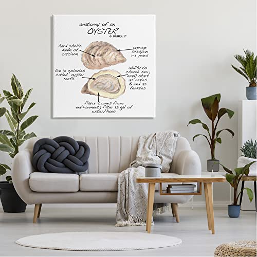 Image of 'Oyster Marine Life Anatomy Facts Educational'| Canvas Art | Stupell Industries | 36 x 36 Inches, Easy to Hang and Sturdy, Made in USA, by Dishique