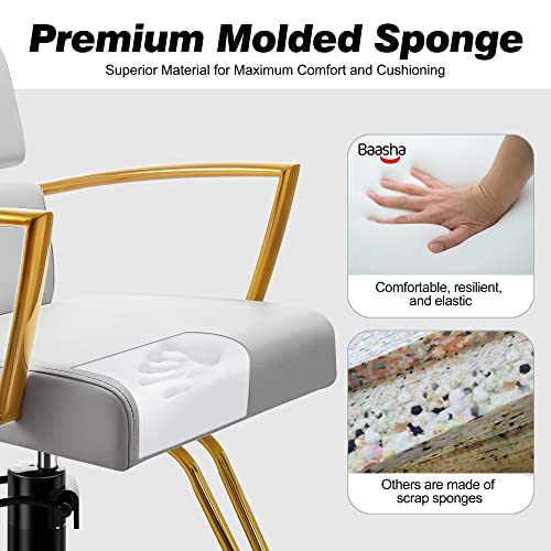 Baasha Salon Chair For Hair Stylist, Gold With Gray Leather Hair Salon Chair, Heavy-Duty Styling Chair Beauty Hair Chair, 360° Swivel, Max Load Weight 330 Lbs - Shiny Gold & Gray #TOP4