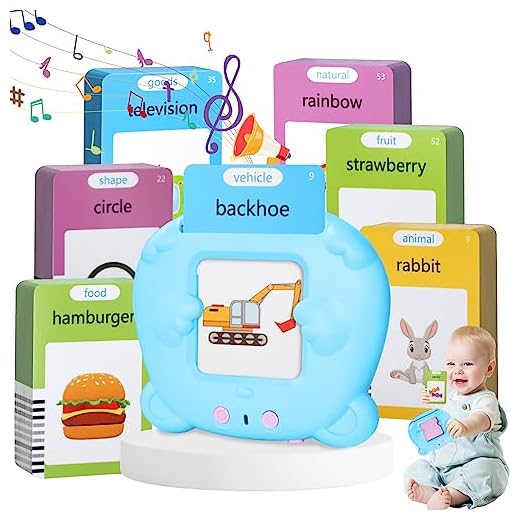 Hsxfl Toddler Toys for 2 3 4 5 Years Old Boys and Girls, 224 Sight Words Talking Flash Cards,Autism Sensory Toys,Sensory Toys For Autistic Children, Learning Montessori Toys, Speech Therapy Toys(Blue)