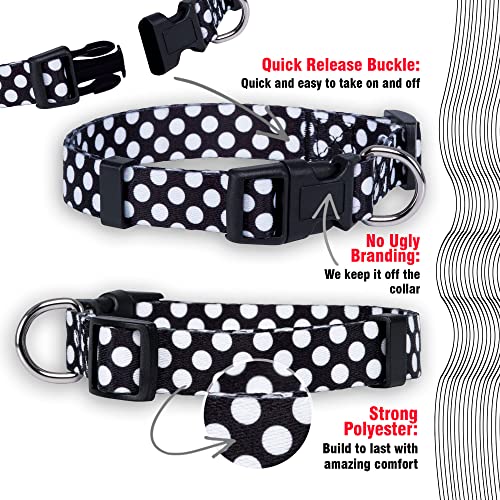 Collar para perros Native Pup con lunares ajustable miniatura 4