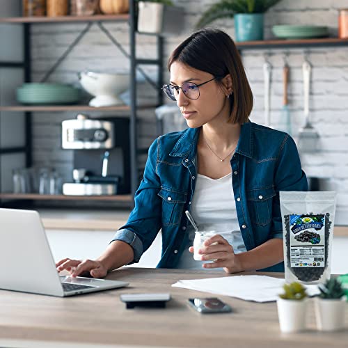 Sunrise Fresh Dried Fruit – Dried California Blueberries - All-Natural, Dehydrated, Unsweetened, No Added Sugar, Resealable Snack, 1 Lb. (Blueberry) #TOP3