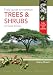 Field Guide to Common Trees & Shrubs of East Africa