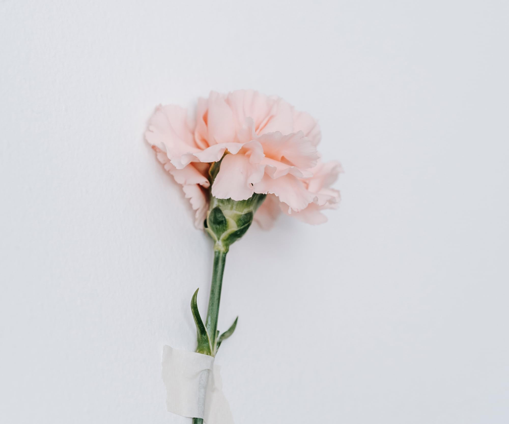 ぽ❕ Zx Nation White Colour Modern Enhanced Precision Mouse Pad