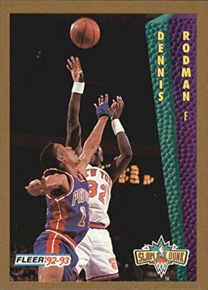 Amazon.com: 1992-93 Fleer #289 Dennis Rodman SD NBA
