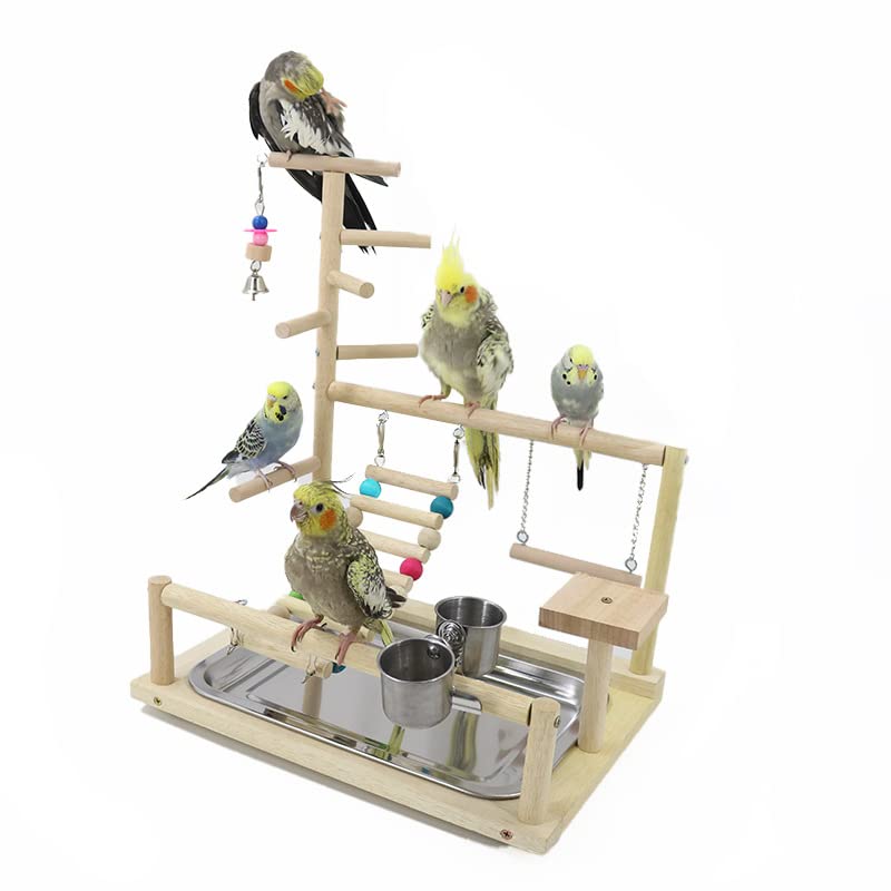 Puesto de pájaros Soporte de Juego for Loros, Percha for, Banco Madera, Juguete for, Columpio, Escalera Escalada, Soporte Interactivo for Juegos