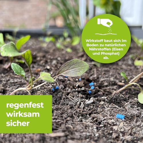 PROTECT GARDEN Protect MaXX Schneckenkorn FE, regenfest, zuverlässige Schneckenbekämpfung an Gemüse, Obst und Zierpflanzen, 1,2kg Faltschachtel für bis zu 315m²