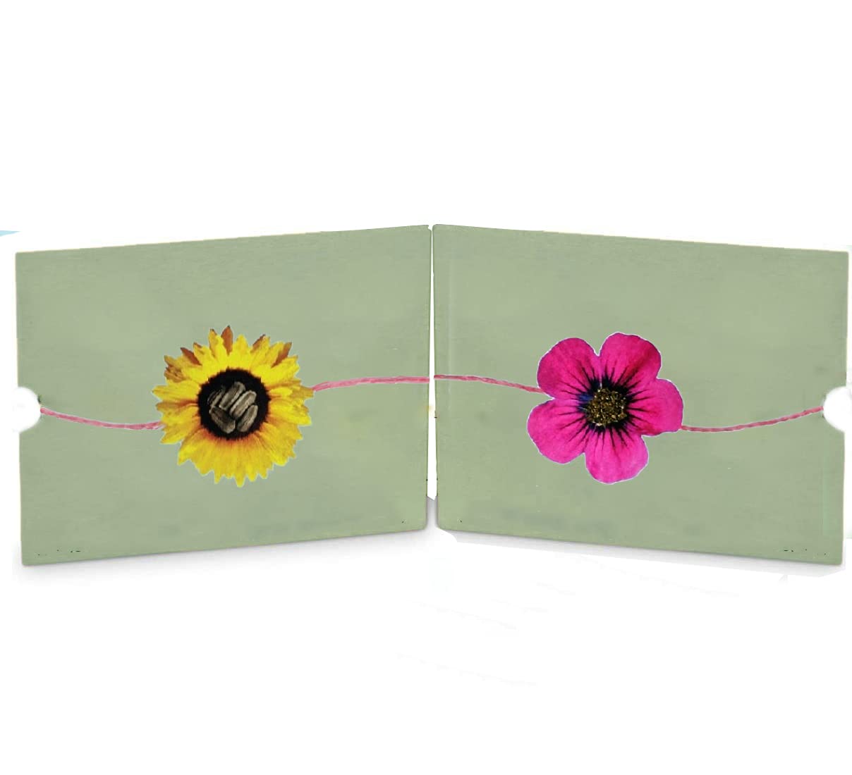 CraftVatika Seed Plantable Eco Friendly Rakhi for Little Brother Bhaiya Kids, Set of 2, Natural Rakhi with Tilak Set, Recycle Bio Rakhi for Sister (B09BFX696T) Amazon Price History, Amazon Price Tracker