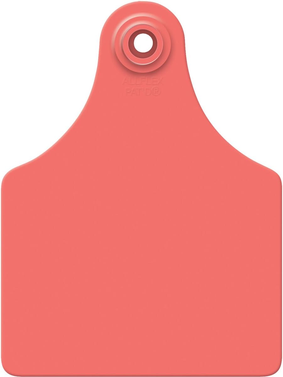 LG GLBL TAG RED BLNK 25'S