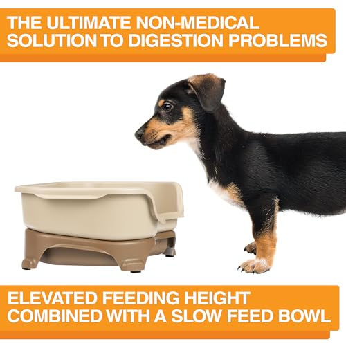 Neater Feeder - Image 5