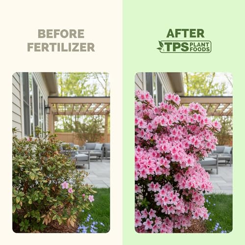 Fertilizante líquido para azaleas 8 oz miniatura 3