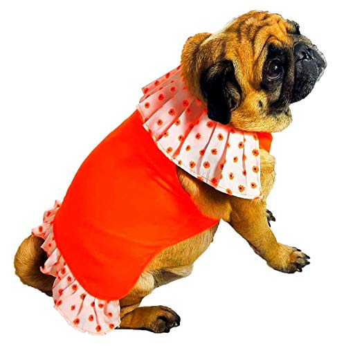Kitty & The Woof Gang Cute Dog Dress | Dog T-shirt | Pet Apparel | Outfit for Small, medium, large Dog | Puppy Dress | Cat Dress | Dog Gown | Dog skirt Wedding/Birthday costume 2XL-22 (B08Y8KT4PG) Amazon Price History, Amazon Price Tracker