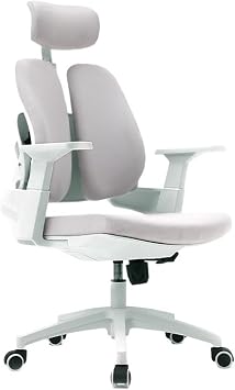 Task Chair Ergonomic Office Chair High Back, Rolling Desk Chair, Executive Swivel Chair with Adjustable Armrest, Lumbar Support and Headrest Desk ChairsGris