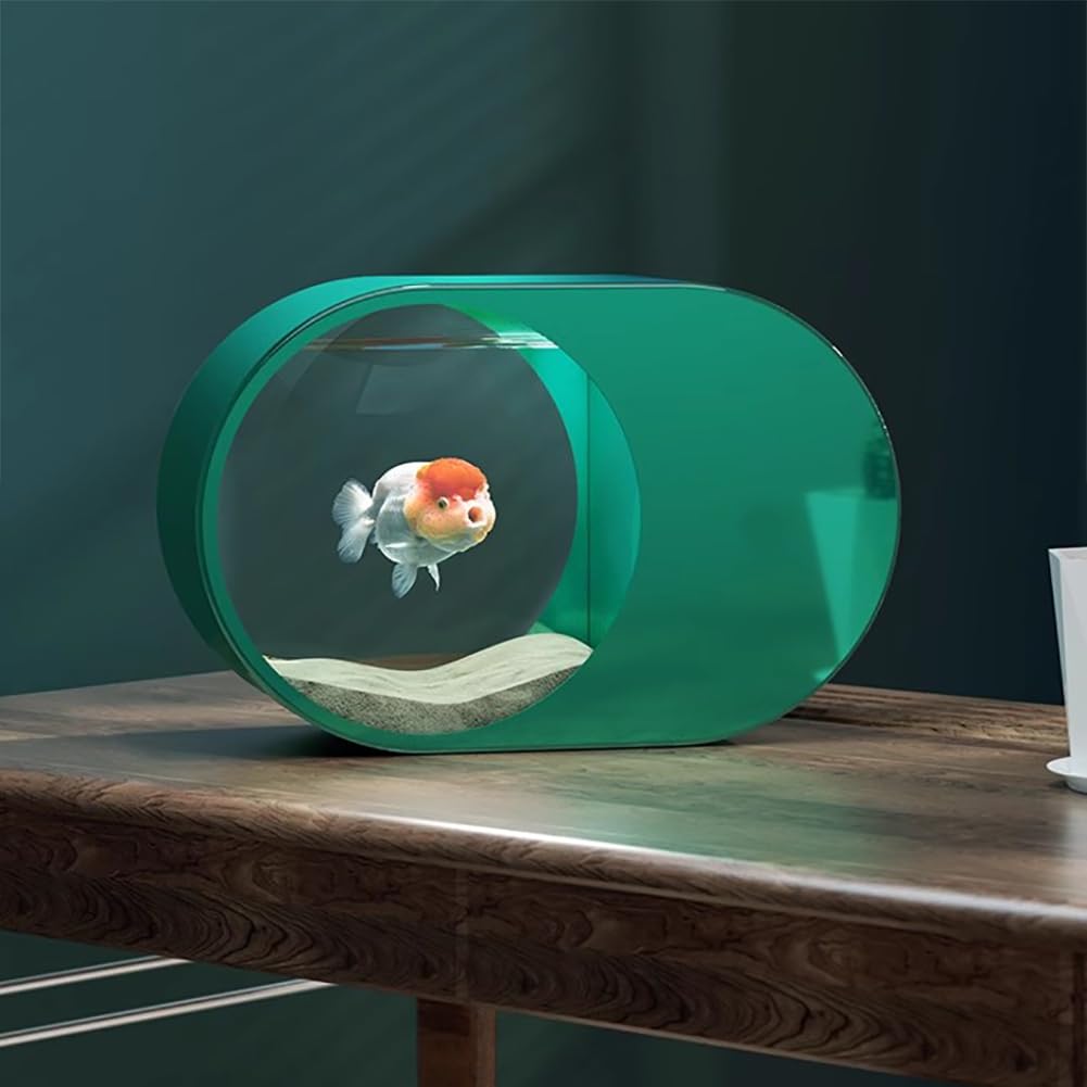 Acuario Acrílico Moderno, Acuario De Plexiglás HD, Tanque De Pescado Transparente Verde, Oficina De Escritorio 13L/RV Acuario, No Se Requiere Cambio De Agua