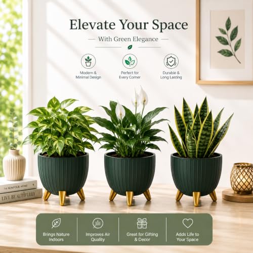 Image of Xmart India 7 Inch Decorative Plant Pot for Indoor & Outdoor Plants | Planter Pot with Stand & Legs |Ribbed Flower Pot for Home, Balcony, Garden, Living Room & Office | Plant Container (1, Green)