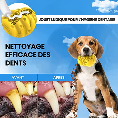 QUEEN & HUNTER Jouet Chien Occupation | Jouet pour Chien Indestructible | Balle Chien | Jouets pour Chiens | Distributeur de Friandises | Jouet à mâcher interactif – Image 6