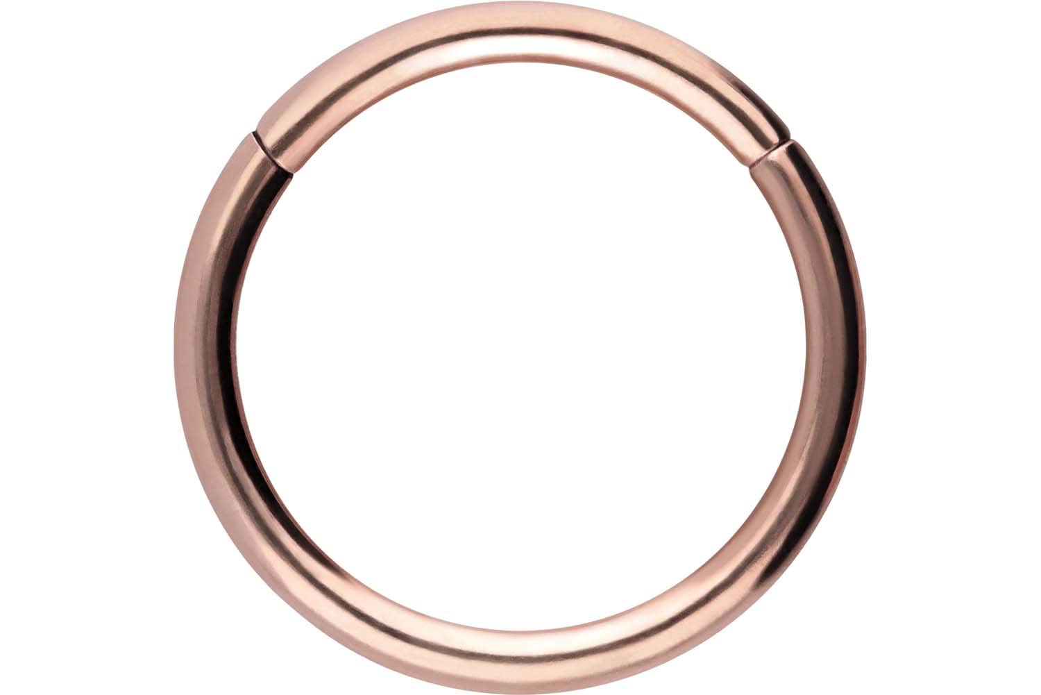 PIERCINGLINE Anillo segmento Clicker de acero quirúrgico – Piercing en oro, plata, rosa, negro o azul – para nariz, tabique, oreja, hélice o tragus — view 80