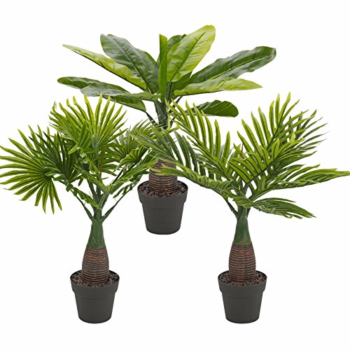 URBNLIVING Artificial Fan, Feather & Oval Leaf Palm Tree Pot Set