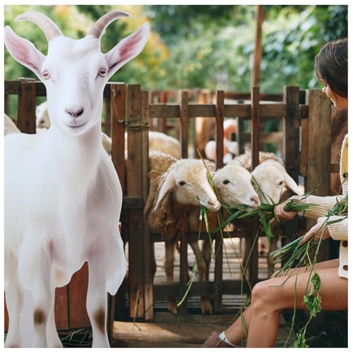 Image of Geelin 5ft Goat Cardboard Standup Cutout Life Size Lamb Jungle Safari Animal Stand up Photo Prop for Zoo Safari Jungle Farm Themed Birthday Party Classroom Decoration Supplies
