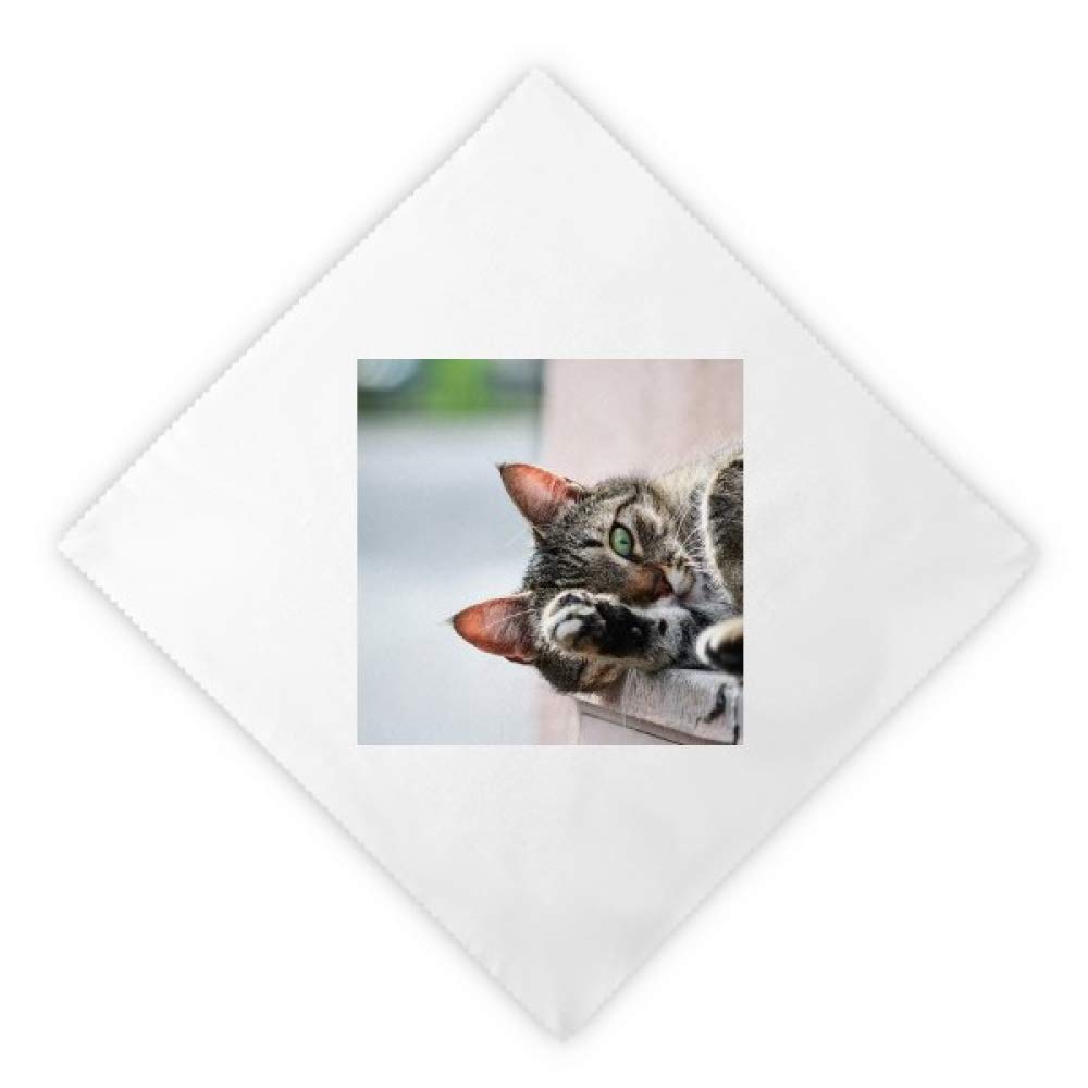Serviettes en tissu chat cadeau idéal pour anniversaire de passionné d'animaux 2Pcs