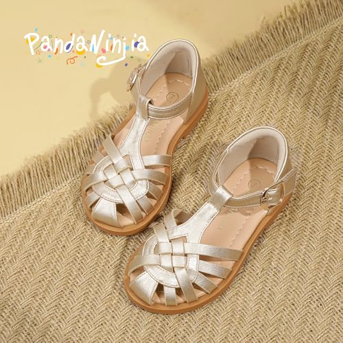 Image of PANDNAINJIA Toddler Girls Sandals T-Strap Dress Summer Shoes