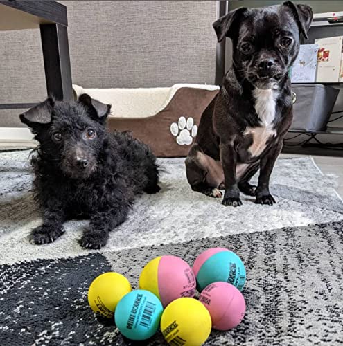 SPORTSPET Mini Bounce Dog Balls - Premium Rubber Dog Balls for Puppy Dogs Standard Pack of 4 (45mm)