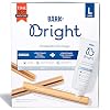 Bark BARK Bright Large Dental Kit for Dogs, 26.29 oz,31 Piece Set