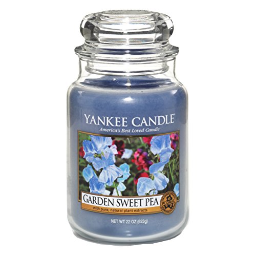 Yankee-Candle-22-oz-Garden-Sweet-Pea-Jar-Candle Yankee Candle 22 oz Garden Sweet Pea Jar Candle