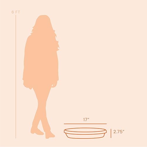 Vista 74 de Bloem Bandeja de platillo de resina Terra: 9.25 pulgadas de ancho inferior - marrón chocolate - mate, duradera, fondo acanalado