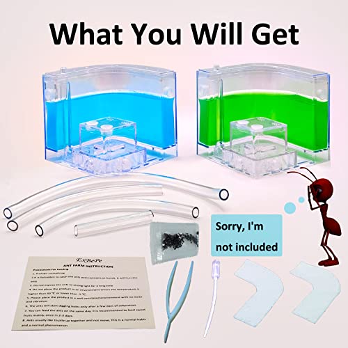 EXBEPE Large 2 Layer Gel Ant Colony Ecosystem Terrarium, Ant Habitat Science Learning Kit - Thumbnail 7