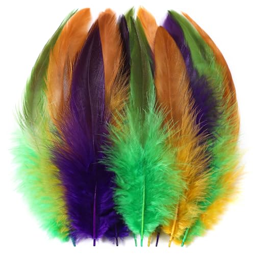 SOGUGOM Mardi Gras Rooster Tail Feathers - 200 pcs 5-7 inch Natural Rooster Tail Feathers Bulk for Mardi Gras Costume and Party(Mardi Gras)