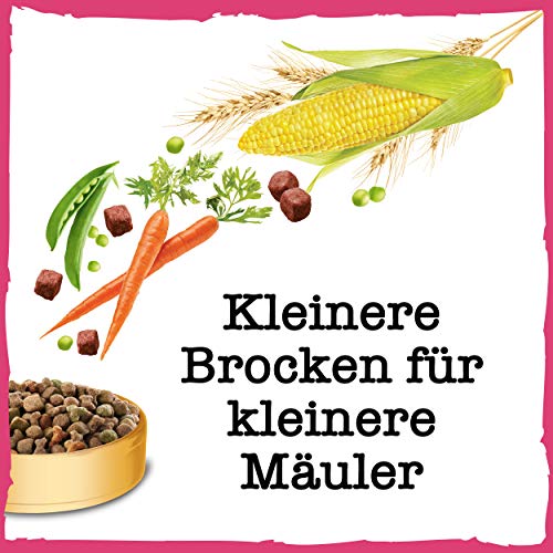 PURINA BENEFUL Kleine Genießer Hundefutter trocken für kleine Rassen, mit Rind, 6er Pack (6 x 1,4kg)