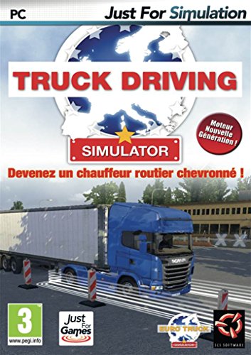 Truck Driving Simulator - vue 4