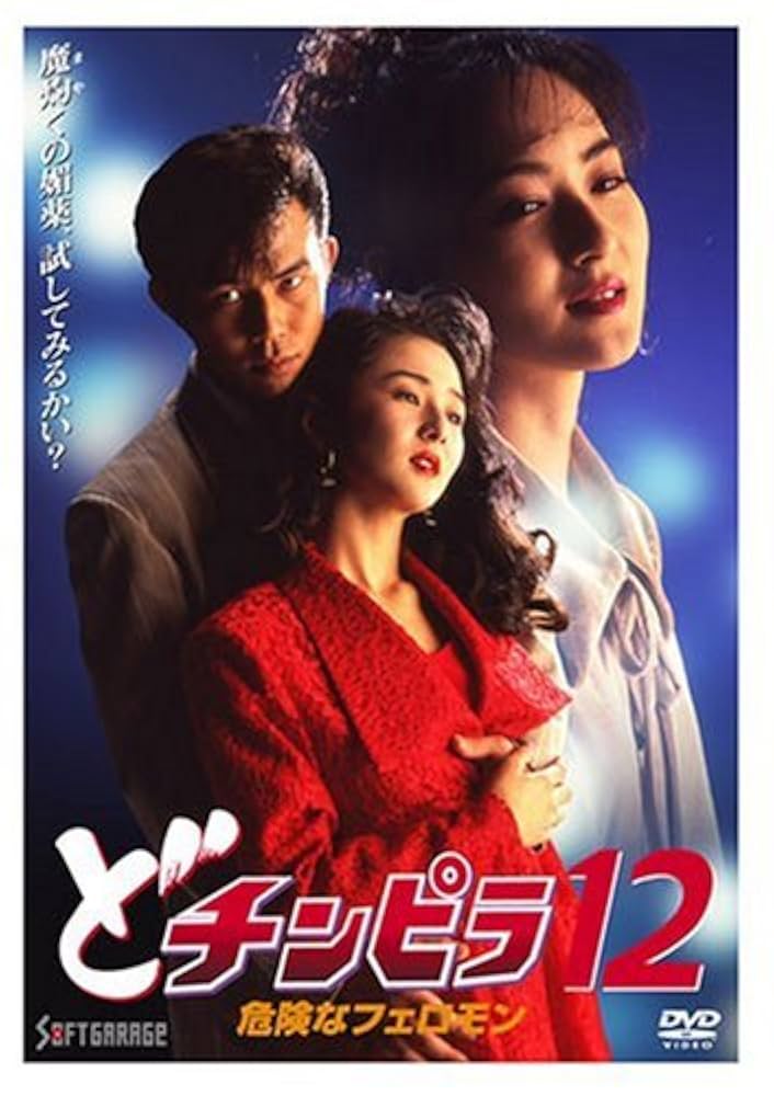 ど・チンピラ DVD セット 楽天市場】どチンピラ【全20巻セット】西村正樹【中古】【邦画