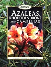 Azaleas, Rhododendrons and Camellias
