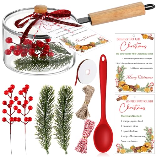 Baderke Christmas Simmer Pot Gift Glass Cooking Festive Saucepan Pots with Christmas Card Artificial Red Berries Pine Needles Handmade Cotton Rope Red Ribbon Stirring Spoon for DIY Xmas Gift(Handle)