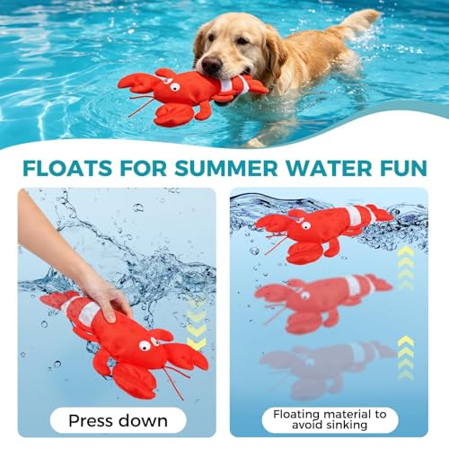 Juguetes flotantes para perros Lobster & Squid, pack x2 miniatura 2