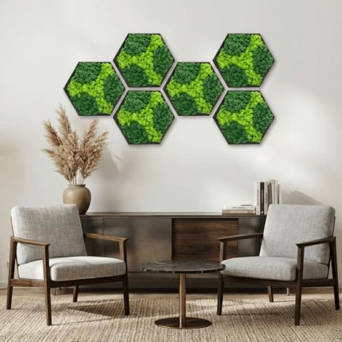 lagom Preserved Moss Wall Art, Hexagon Green Wall Decor for