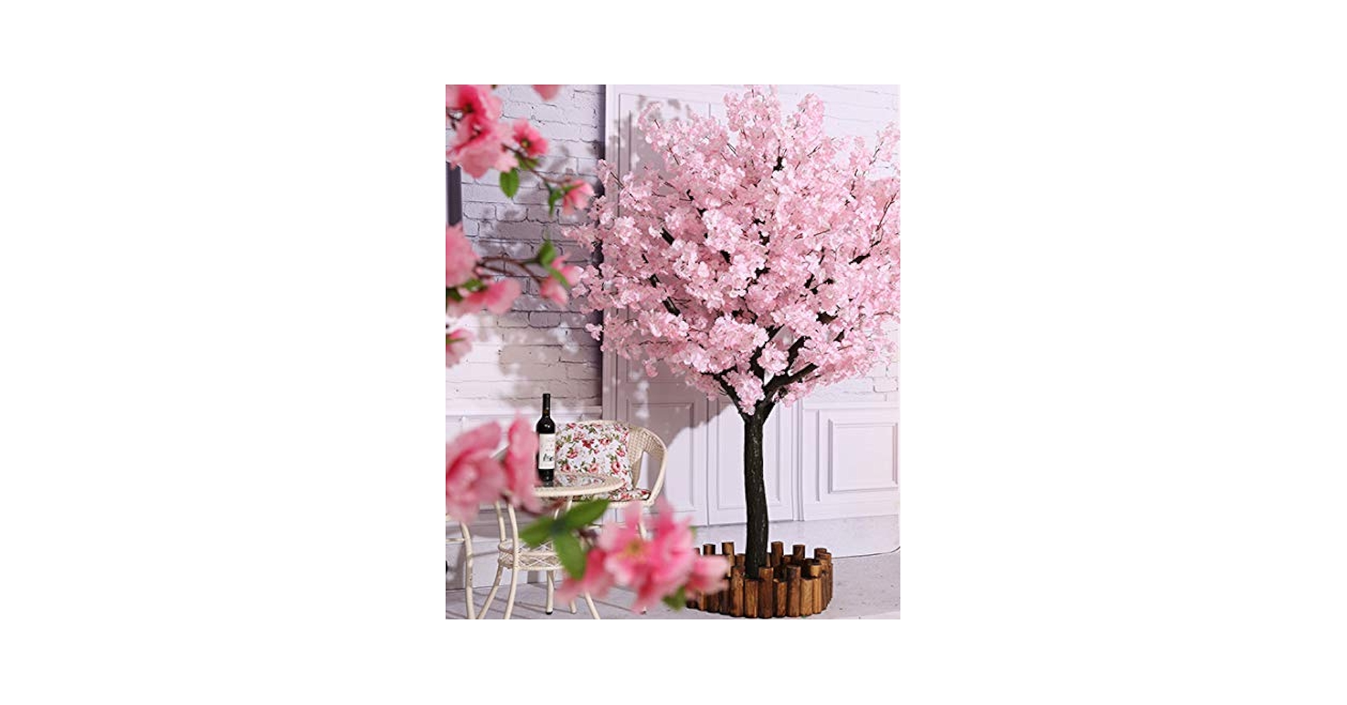Milk‐tree♡ Amazon.com : CHUXAY GARDEN 10 Seeds Eucalyptus Pulverulenta