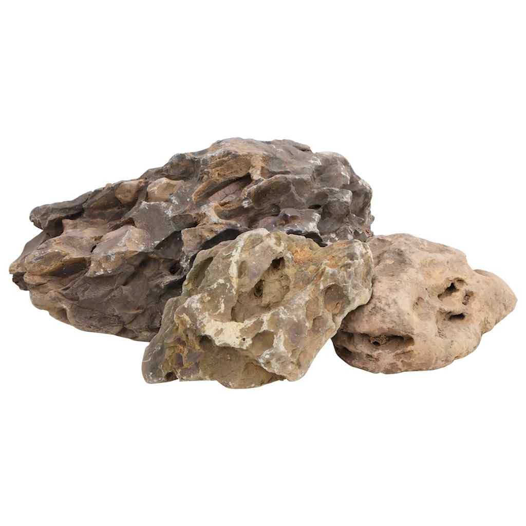 vidaXL Dragon Stones, Natural Rock for Unique Aquascapes in Any Freshwater Aquarium & Terrarium, Dragon Rock for Decor, Aquarium Stone, 25 kg Grey