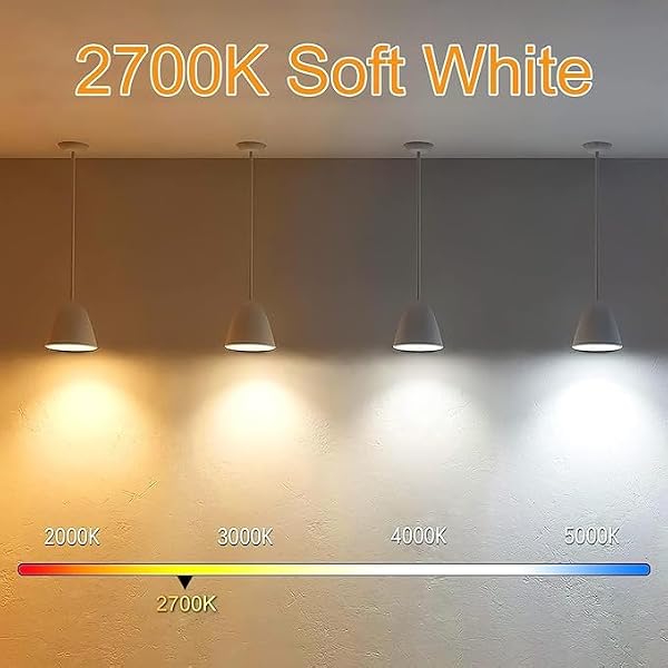 NOVELUX 3.2 Inch E26 LED Bulb 60 Watt Equivalent, 2700K Soft White Edison Bulbs Dimmable, AC 120V 600LM T10/T9 Clear Glass Filament Light Bulbs ETL for Pendant Wall Light Desk lamp-4 Pack by NOVELUX - Used condition - Image 6
