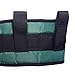 COW&COW Padded Gait Belt with 4 Handles and Quick Release Buckle 5.5 inchs(Green, M/28inches-48inches)