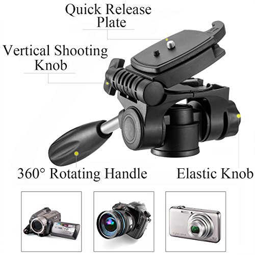 Image of MACTREM M-PT55-Bk PT55 Travel Camera Tripod Lightweight Aluminum for DSLR SLR Canon Nikon Sony Olympus DV with Carry Bag -11 Lbs(5Kg) Load (Gold)