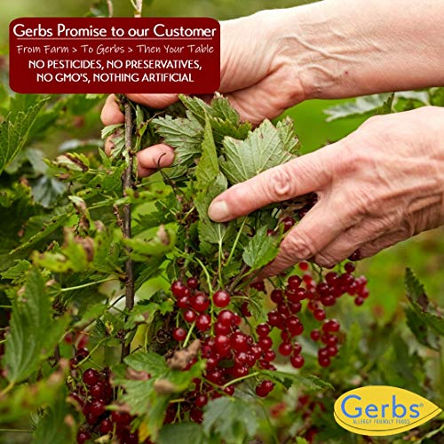Gerbs Dried Black Currants 2 Lbs. | Freshly Dehydrated Re-Sealable Bulk Bag | Top 14 Food Allergy Free | Sulfur Dioxide Free Zante Variety | Rich In Antioxidants | Gluten, Peanut, Tree Nut Free #TOP2