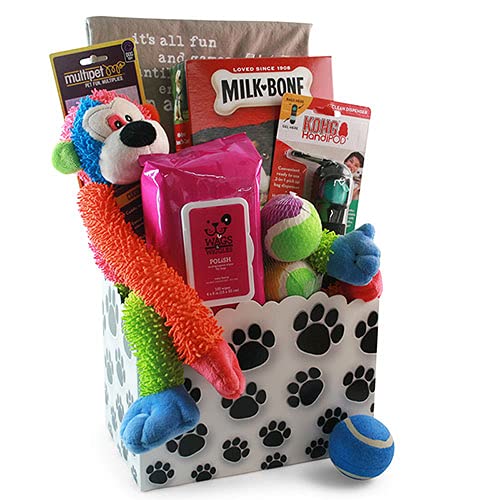 Dog Get Well Soon Basket Small, Medium, Large Dog Get Well